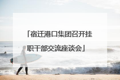 宿迁港口集团召开挂职干部交流座谈会