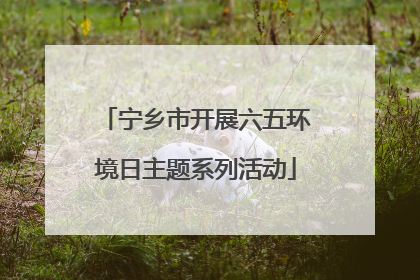 宁乡市开展六五环境日主题系列活动