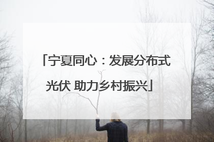 宁夏同心：发展分布式光伏 助力乡村振兴