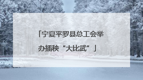 宁夏平罗县总工会举办插秧“大比武”