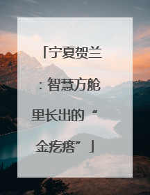 宁夏贺兰：智慧方舱里长出的“金疙瘩”
