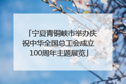 宁夏青铜峡市举办庆祝中华全国总工会成立100周年主题展览