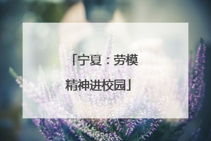 宁夏：劳模精神进校园