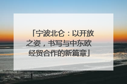 宁波北仑：以开放之姿，书写与中东欧经贸合作的新篇章