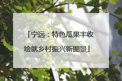 宁远：特色瓜果丰收绘就乡村振兴新图景