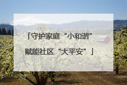 守护家庭“小和谐” 赋能社区“大平安”