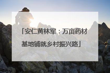 安仁黄林军：万亩药材基地铺就乡村振兴路