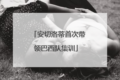 安切洛蒂首次带领巴西队集训