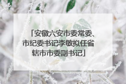 安徽六安市委常委、市纪委书记李敏拟任省辖市市委副书记