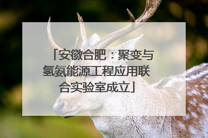 安徽合肥：聚变与氢氨能源工程应用联合实验室成立