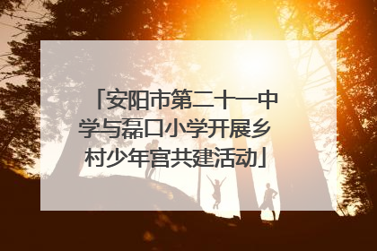 安阳市第二十一中学与磊口小学开展乡村少年宫共建活动