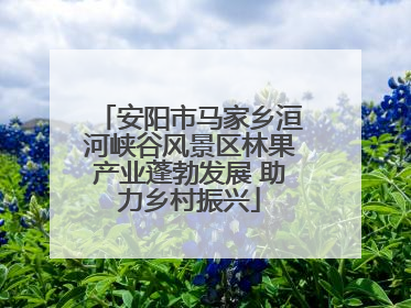 安阳市马家乡洹河峡谷风景区林果产业蓬勃发展 助力乡村振兴