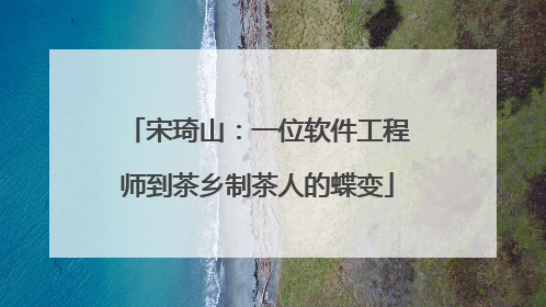 宋琦山：一位软件工程师到茶乡制茶人的蝶变