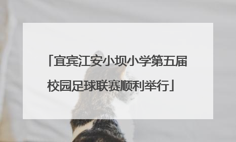 宜宾江安小坝小学第五届校园足球联赛顺利举行