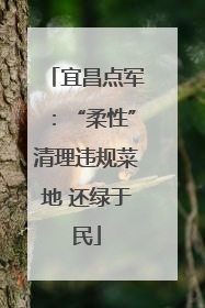 宜昌点军：“柔性”清理违规菜地 还绿于民