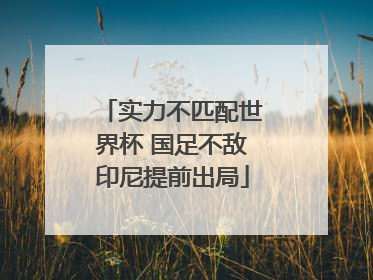 实力不匹配世界杯 国足不敌印尼提前出局