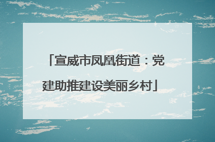 宣威市凤凰街道：党建助推建设美丽乡村