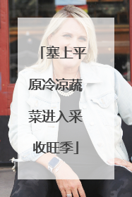 塞上平原冷凉蔬菜进入采收旺季