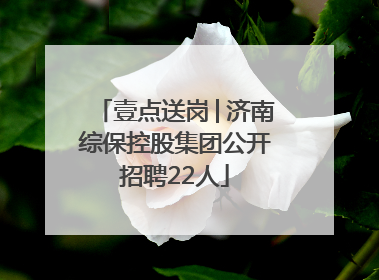 壹点送岗│济南综保控股集团公开招聘22人