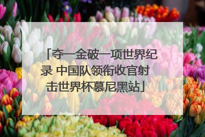 夺一金破一项世界纪录 中国队领衔收官射击世界杯慕尼黑站