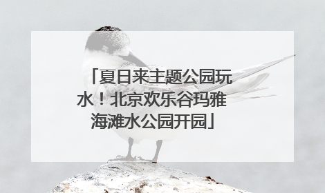 夏日来主题公园玩水！北京欢乐谷玛雅海滩水公园开园
