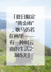 夏日限定“黄金雨”，耿马仿若在画里——有一种叫云南的生活之365天