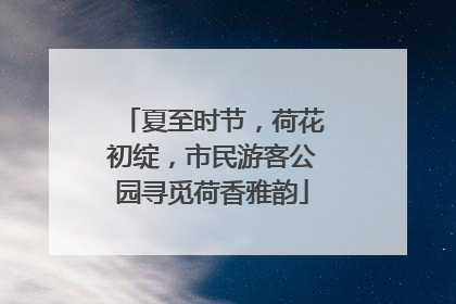 夏至时节，荷花初绽，市民游客公园寻觅荷香雅韵
