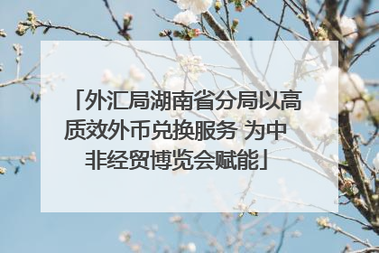 外汇局湖南省分局以高质效外币兑换服务 为中非经贸博览会赋能