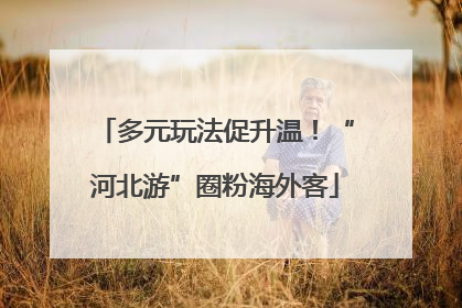 多元玩法促升温！“河北游”圈粉海外客