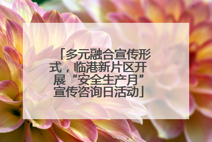 多元融合宣传形式，临港新片区开展“安全生产月”宣传咨询日活动