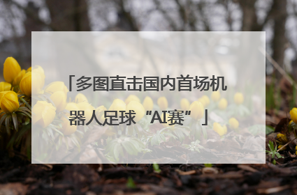 多图直击国内首场机器人足球“AI赛”