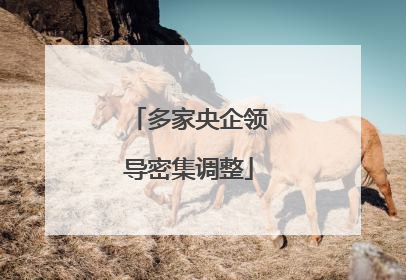 多家央企领导密集调整