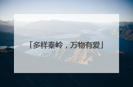 多样秦岭，万物有爱