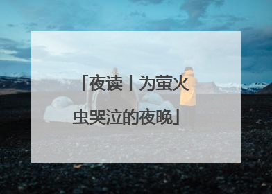 夜读丨为萤火虫哭泣的夜晚