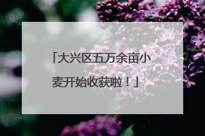 大兴区五万余亩小麦开始收获啦！