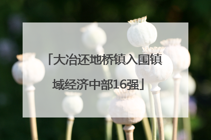大冶还地桥镇入围镇域经济中部16强