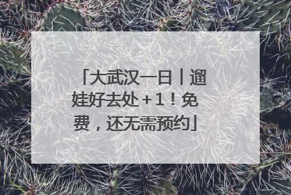 大武汉一日︱遛娃好去处＋1！免费，还无需预约