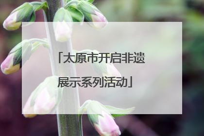 太原市开启非遗展示系列活动