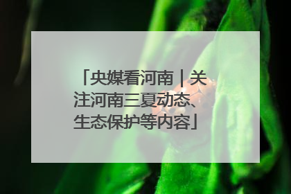 央媒看河南｜关注河南三夏动态、生态保护等内容