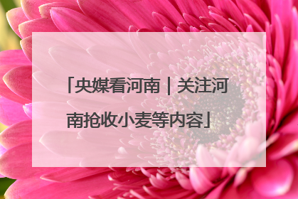 央媒看河南｜关注河南抢收小麦等内容