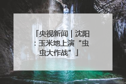 央视新闻｜沈阳：玉米地上演“虫虫大作战”