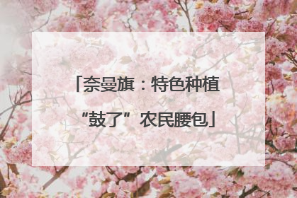 奈曼旗：特色种植“鼓了”农民腰包