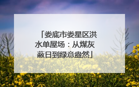 娄底市娄星区洪水单屋场：从煤灰蔽日到绿意盎然