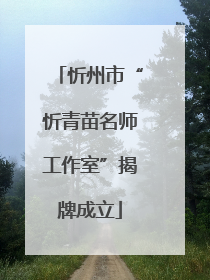 忻州市“忻青苗名师工作室”揭牌成立