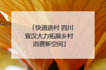 快递进村 四川宣汉大力拓展乡村消费新空间