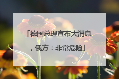 德国总理宣布大消息，俄方：非常危险
