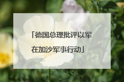 德国总理批评以军在加沙军事行动