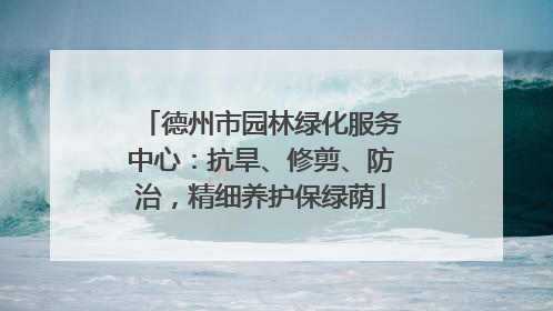 德州市园林绿化服务中心：抗旱、修剪、防治，精细养护保绿荫