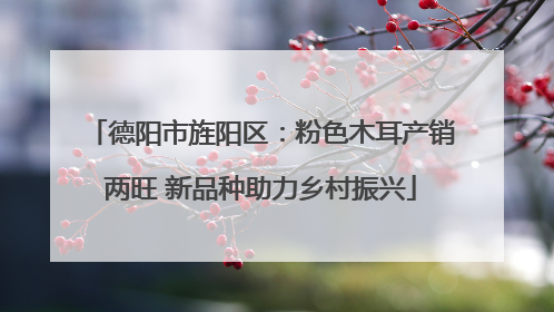 德阳市旌阳区：粉色木耳产销两旺 新品种助力乡村振兴