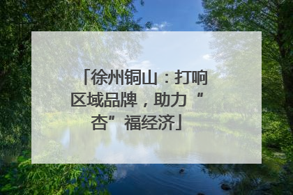 徐州铜山：打响区域品牌，助力“杏”福经济